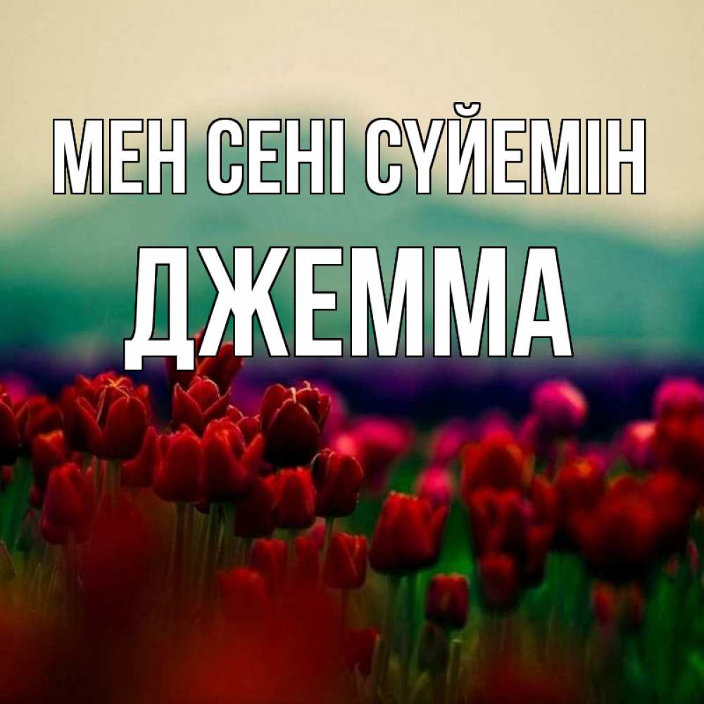 Күн сайын ашық хат с именем, Джемма Мен сені сүйемін тюльпаны 4 Онлайн тегін жүктеп алу тілектері бар керемет карта 