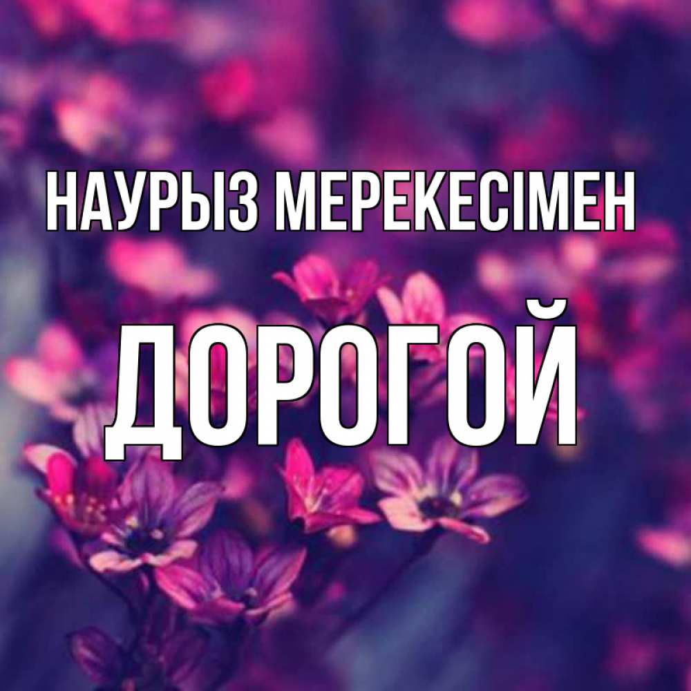 Күн сайын ашық хат с именем, Дорогой Наурыз мерекесімен небольшие цветы 1 Онлайн тегін жүктеп алу тілектері бар керемет карта 
