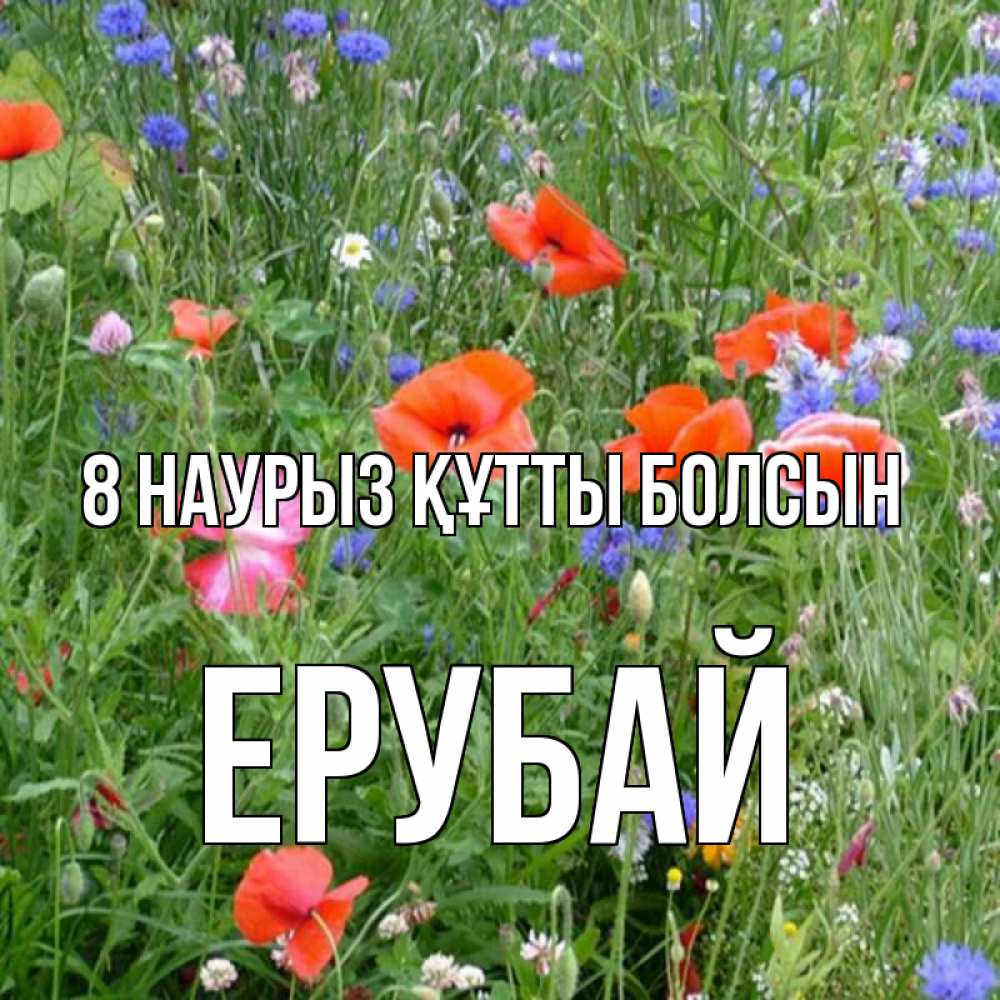Күн сайын ашық хат с именем, Ерубай 8 наурыз құтты болсын международный женский день 4 Онлайн тегін жүктеп алу тілектері бар керемет карта 