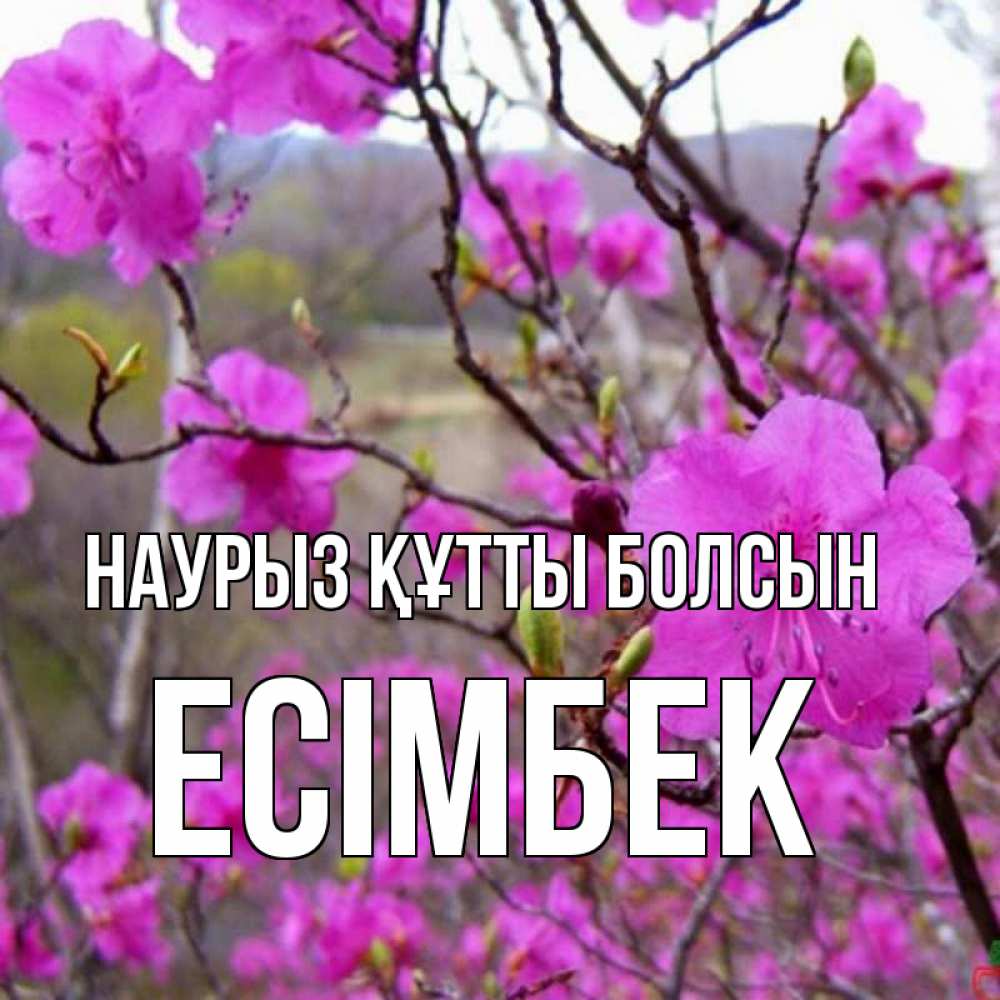 Күн сайын ашық хат с именем, Есімбек Наурыз құтты болсын наурыз мейрамы кутты болсын Онлайн тегін жүктеп алу тілектері бар керемет карта 