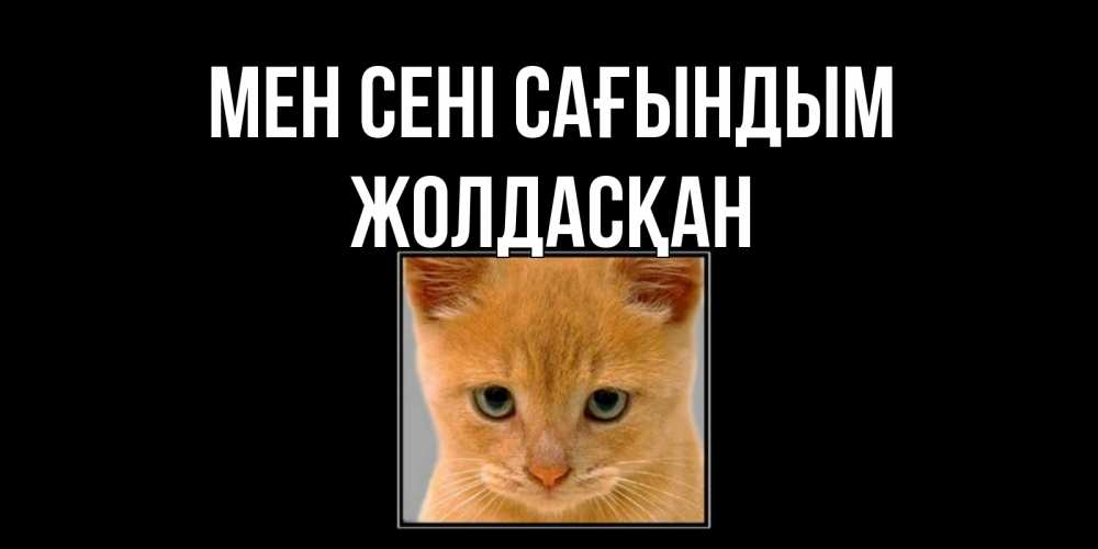 Күн сайын ашық хат с именем, Жолдасқан Мен сені сағындым открытки рыжий котенок скучает по тебе Онлайн тегін жүктеп алу тілектері бар керемет карта 