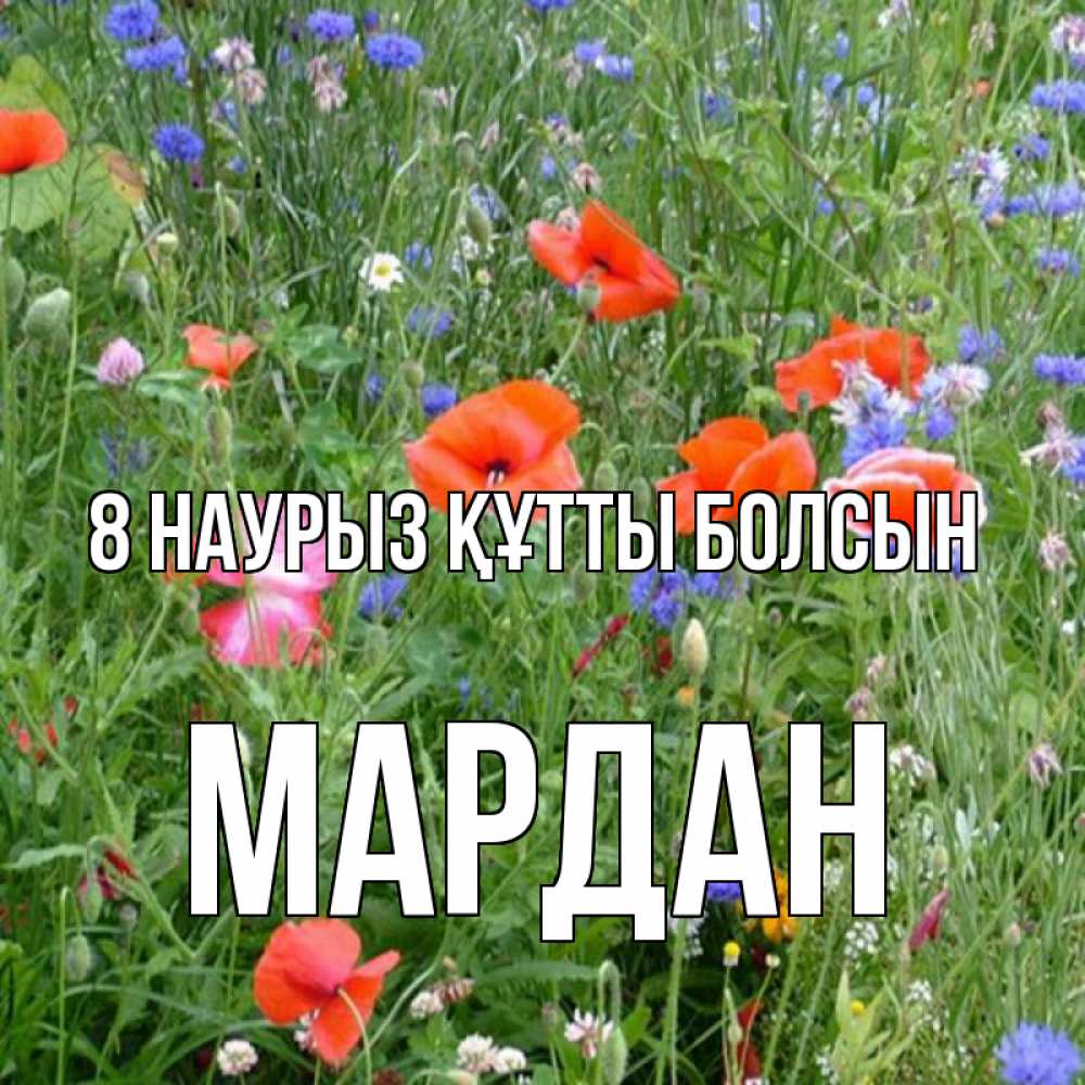 Күн сайын ашық хат с именем, МАРДАН 8 наурыз құтты болсын международный женский день 4 Онлайн тегін жүктеп алу тілектері бар керемет карта 