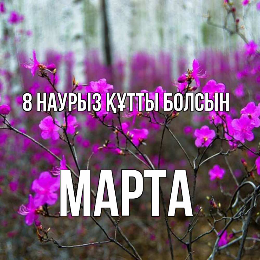 Күн сайын ашық хат с именем, Марта 8 наурыз құтты болсын дикие цветы Онлайн тегін жүктеп алу тілектері бар керемет карта 