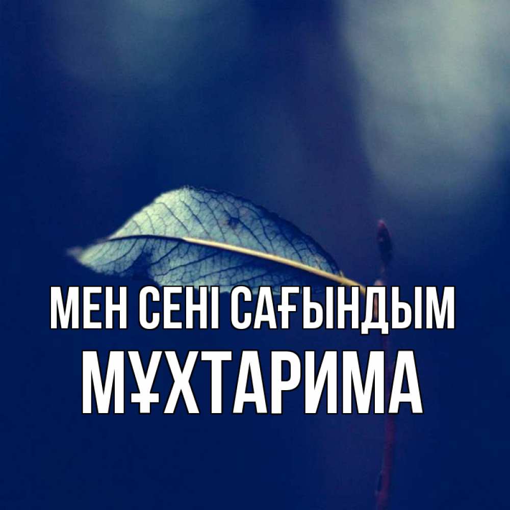 Күн сайын ашық хат с именем, МҰХТАРИМА Мен сені сағындым одна ветка 1 Онлайн тегін жүктеп алу тілектері бар керемет карта 