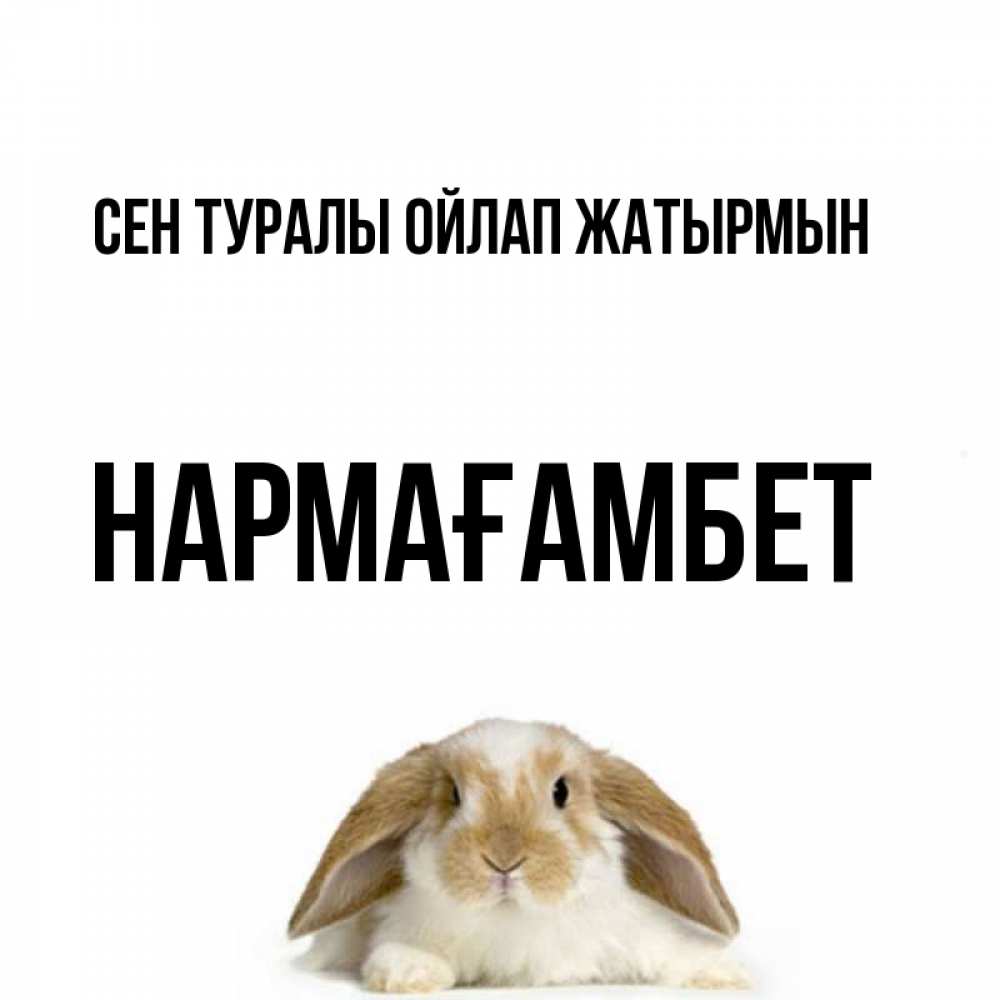Күн сайын ашық хат с именем, НАРМАҒАМБЕТ Сен туралы ойлап жатырмын подписать своими руками онлайн Онлайн тегін жүктеп алу тілектері бар керемет карта 