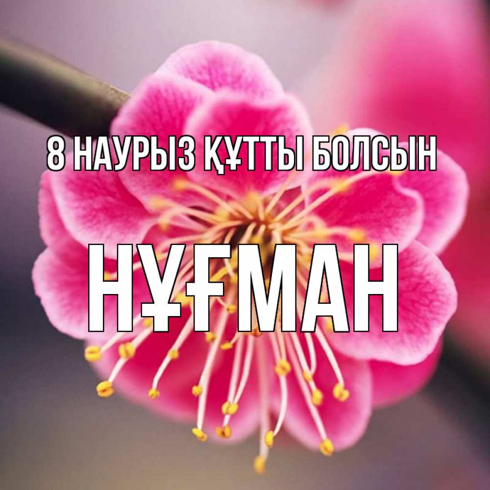 Күн сайын ашық хат с именем, НҰҒМАН 8 наурыз құтты болсын цветы Онлайн тегін жүктеп алу тілектері бар керемет карта 
