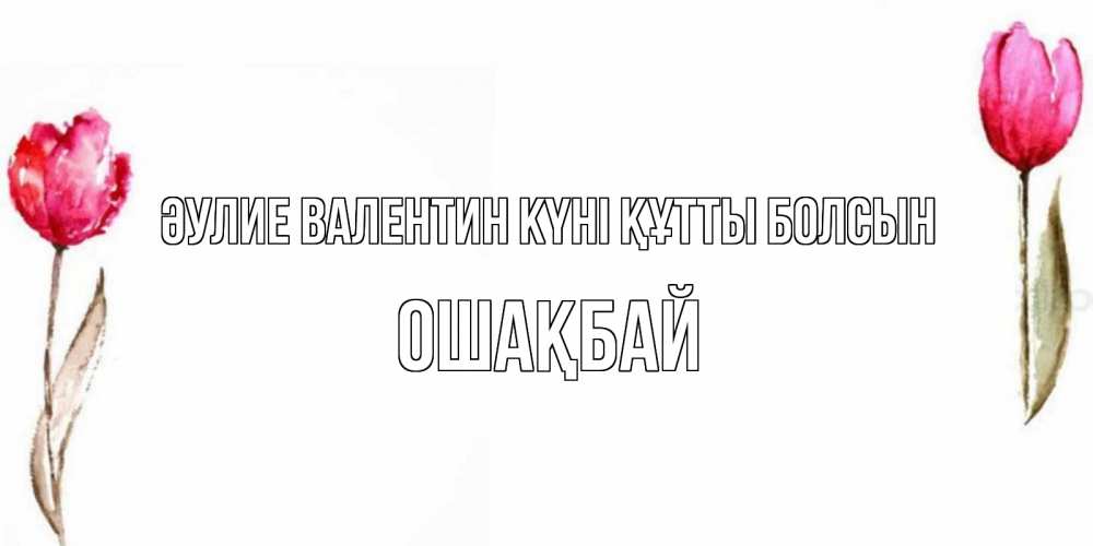 Күн сайын ашық хат с именем, ОШАҚБАЙ Әулие Валентин күні құтты болсын Открытки на день всех влюбленных с тюльпанами акварелью Онлайн тегін жүктеп алу тілектері бар керемет карта 