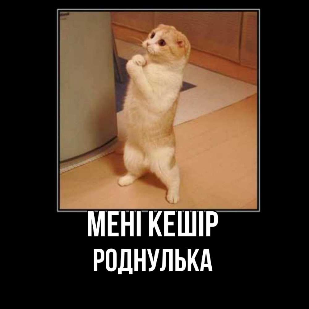 Күн сайын ашық хат с именем, Роднулька Мені кешір открытка с милым несчастным котиком просящим прощения Онлайн тегін жүктеп алу тілектері бар керемет карта 