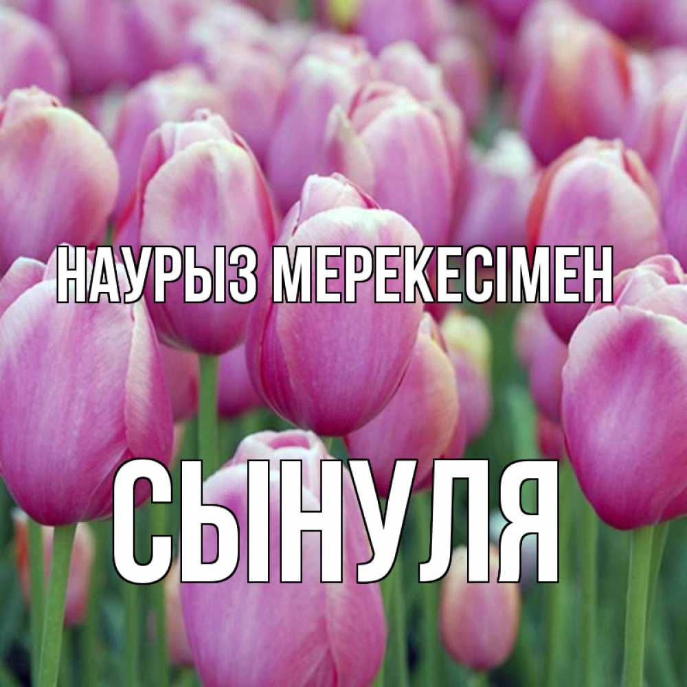 Күн сайын ашық хат с именем, Сынуля Наурыз мерекесімен праздник весны наурыз 69 Онлайн тегін жүктеп алу тілектері бар керемет карта 