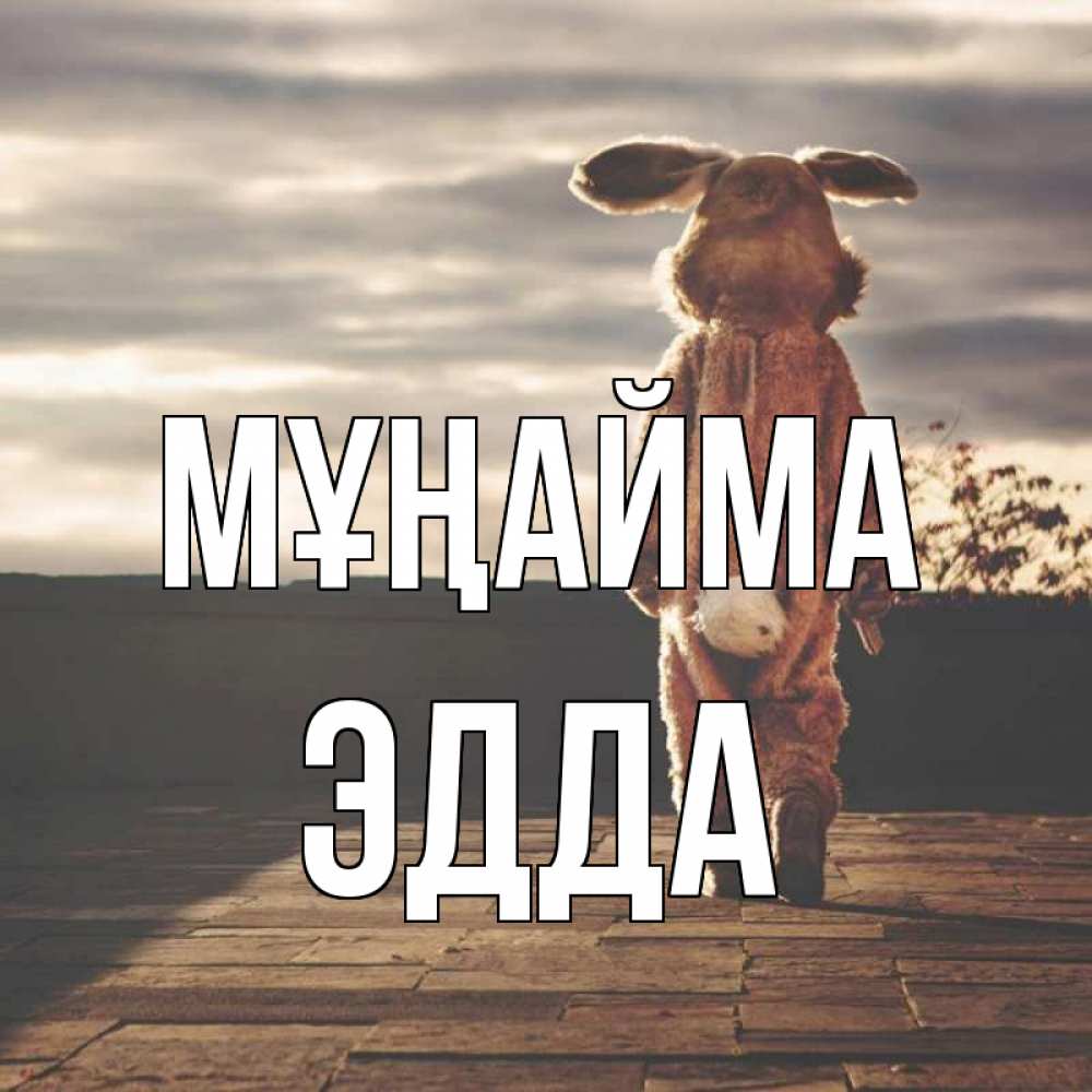 Күн сайын ашық хат с именем, Эдда Мұңайма со спины Онлайн тегін жүктеп алу тілектері бар керемет карта 