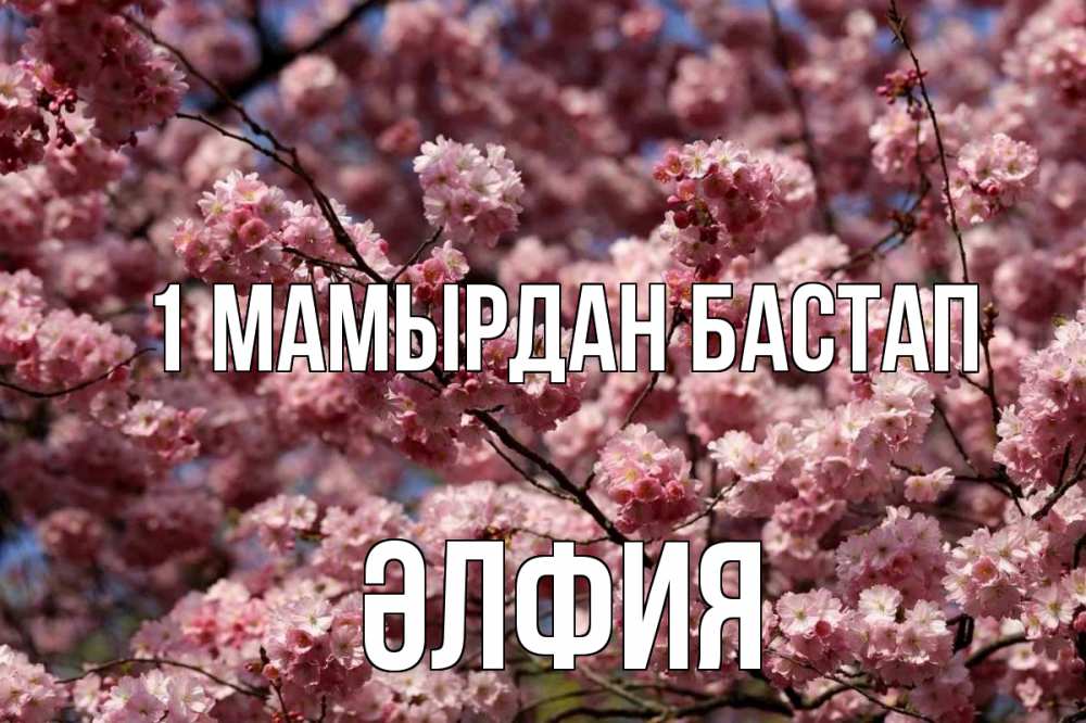 Күн сайын ашық хат с именем, ӘЛФИЯ 1 мамырдан бастап С 1 мая Онлайн тегін жүктеп алу тілектері бар керемет карта 