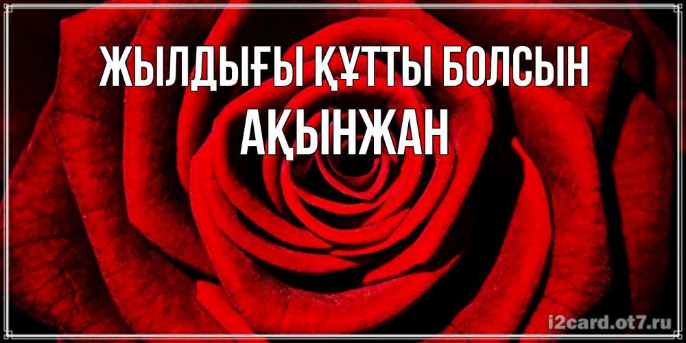 Күн сайын ашық хат с именем, Ақынжан Жылдығы құтты болсын алая роза Онлайн тегін жүктеп алу тілектері бар керемет карта 