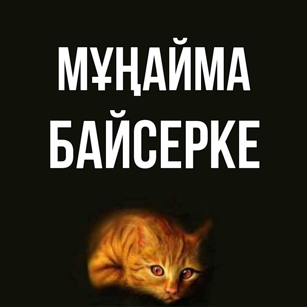 Күн сайын ашық хат с именем, Байсерке Мұңайма лежащий кот в темноте Онлайн тегін жүктеп алу тілектері бар керемет карта 