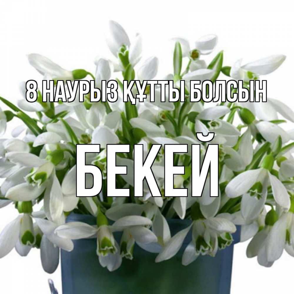 Күн сайын ашық хат с именем, Бекей 8 наурыз құтты болсын цветы к международному женскому дню Онлайн тегін жүктеп алу тілектері бар керемет карта 