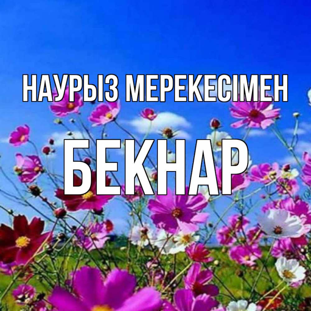 Күн сайын ашық хат с именем, Бекнар Наурыз мерекесімен цветы Онлайн тегін жүктеп алу тілектері бар керемет карта 