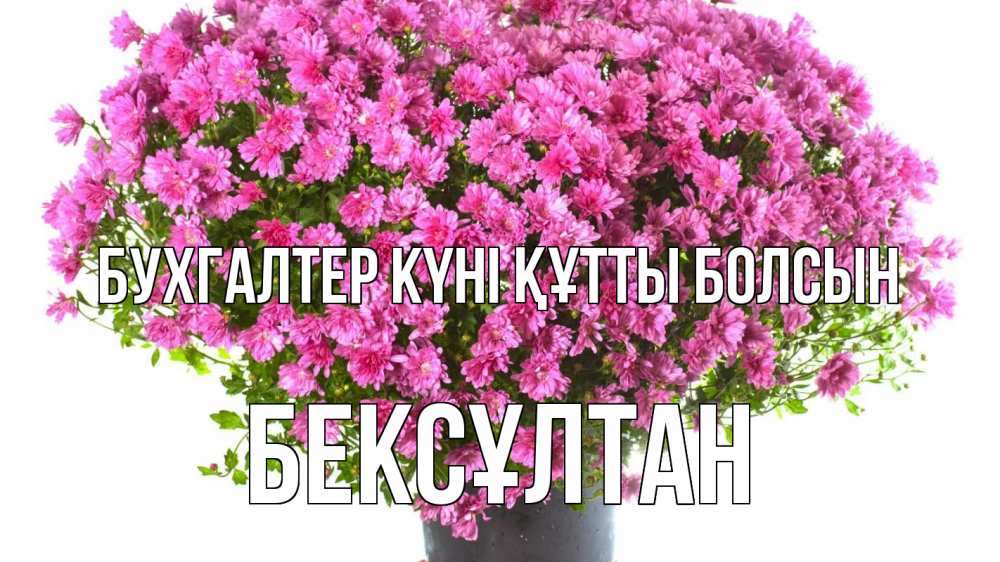 Күн сайын ашық хат с именем, Бексұлтан бухгалтер күні құтты болсын с днем бухгалтера Онлайн тегін жүктеп алу тілектері бар керемет карта 