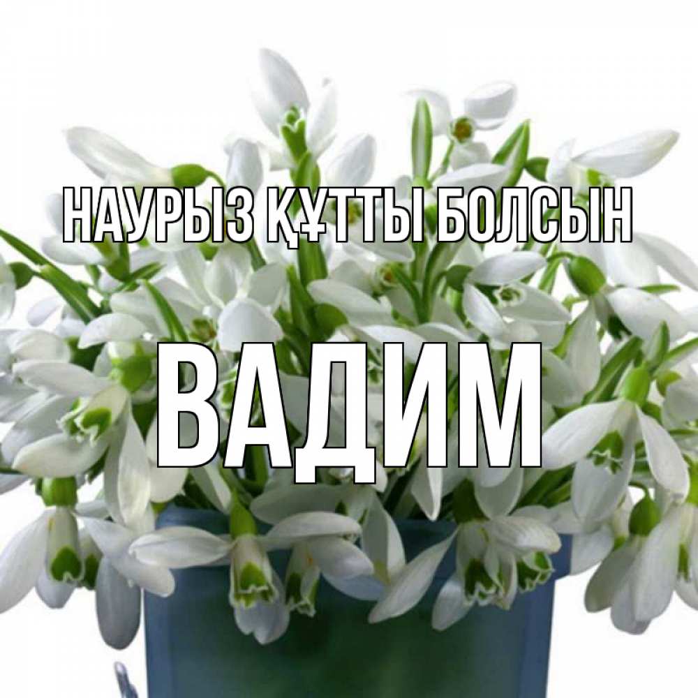 Күн сайын ашық хат с именем, Вадим Наурыз құтты болсын цветы к наурызу Онлайн тегін жүктеп алу тілектері бар керемет карта 