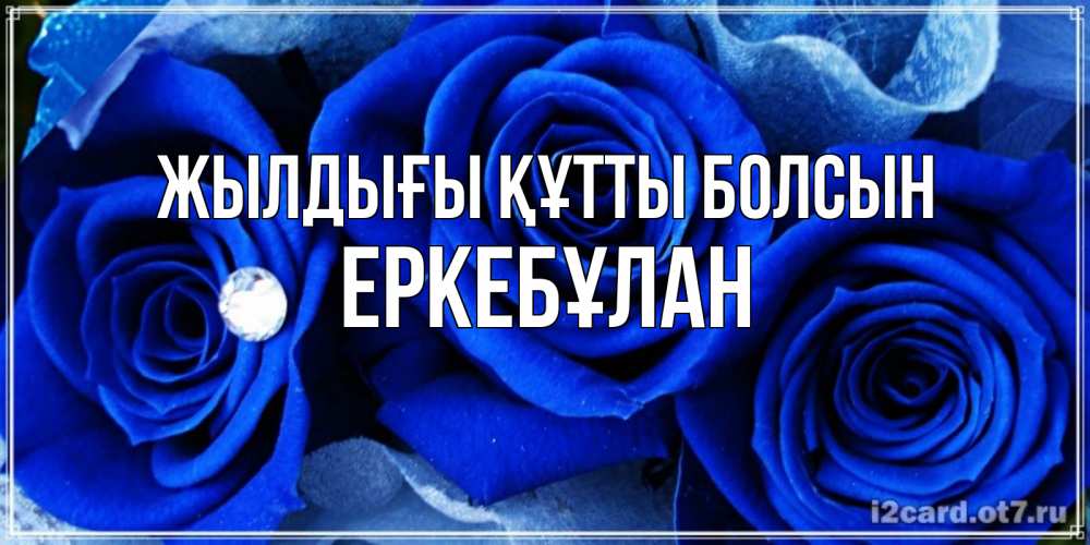 Күн сайын ашық хат с именем, Еркебұлан Жылдығы құтты болсын синие розы в росе Онлайн тегін жүктеп алу тілектері бар керемет карта 