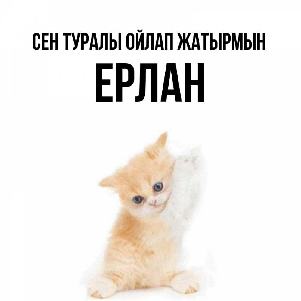Күн сайын ашық хат с именем, Ерлан Сен туралы ойлап жатырмын зверушки и милота Онлайн тегін жүктеп алу тілектері бар керемет карта 