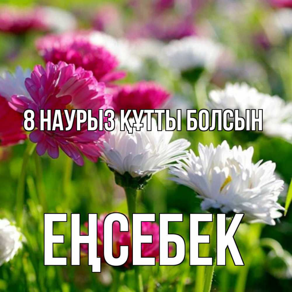 Күн сайын ашық хат с именем, Еңсебек 8 наурыз құтты болсын международный женский день 1 Онлайн тегін жүктеп алу тілектері бар керемет карта 