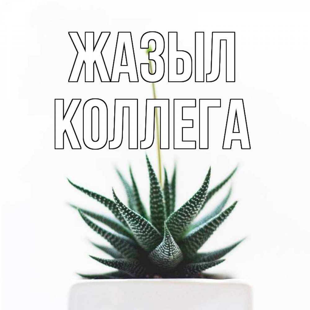 Күн сайын ашық хат с именем, Коллега Жазыл короче это непонятная колючка Онлайн тегін жүктеп алу тілектері бар керемет карта 