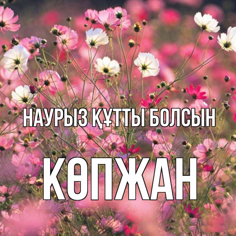 Күн сайын ашық хат с именем, Көпжан Наурыз құтты болсын красиво 1 Онлайн тегін жүктеп алу тілектері бар керемет карта 
