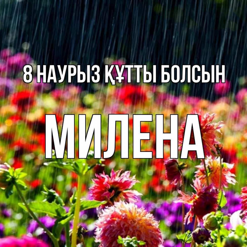 Күн сайын ашық хат с именем, Милена 8 наурыз құтты болсын цветы под дождиком к международному женскому дню Онлайн тегін жүктеп алу тілектері бар керемет карта 