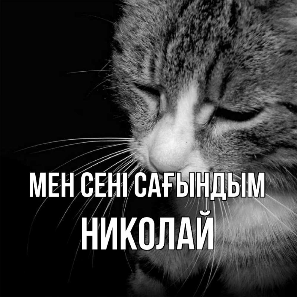 Күн сайын ашық хат с именем, Николай Мен сені сағындым мне скучно Онлайн тегін жүктеп алу тілектері бар керемет карта 