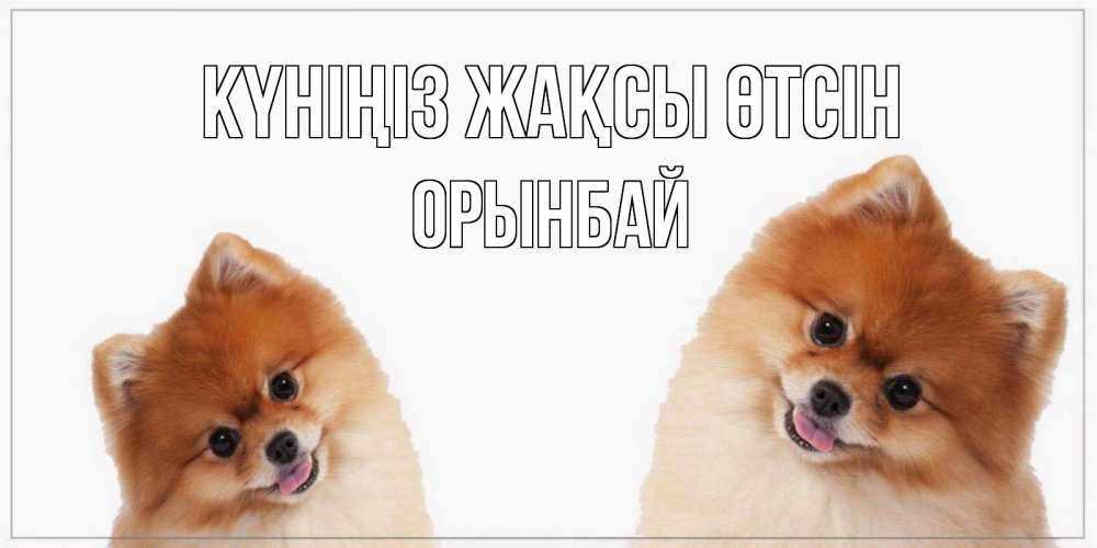 Күн сайын ашық хат с именем, ОРЫНБАЙ Күніңіз жақсы өтсін собачки желают прекрасного дня Онлайн тегін жүктеп алу тілектері бар керемет карта 