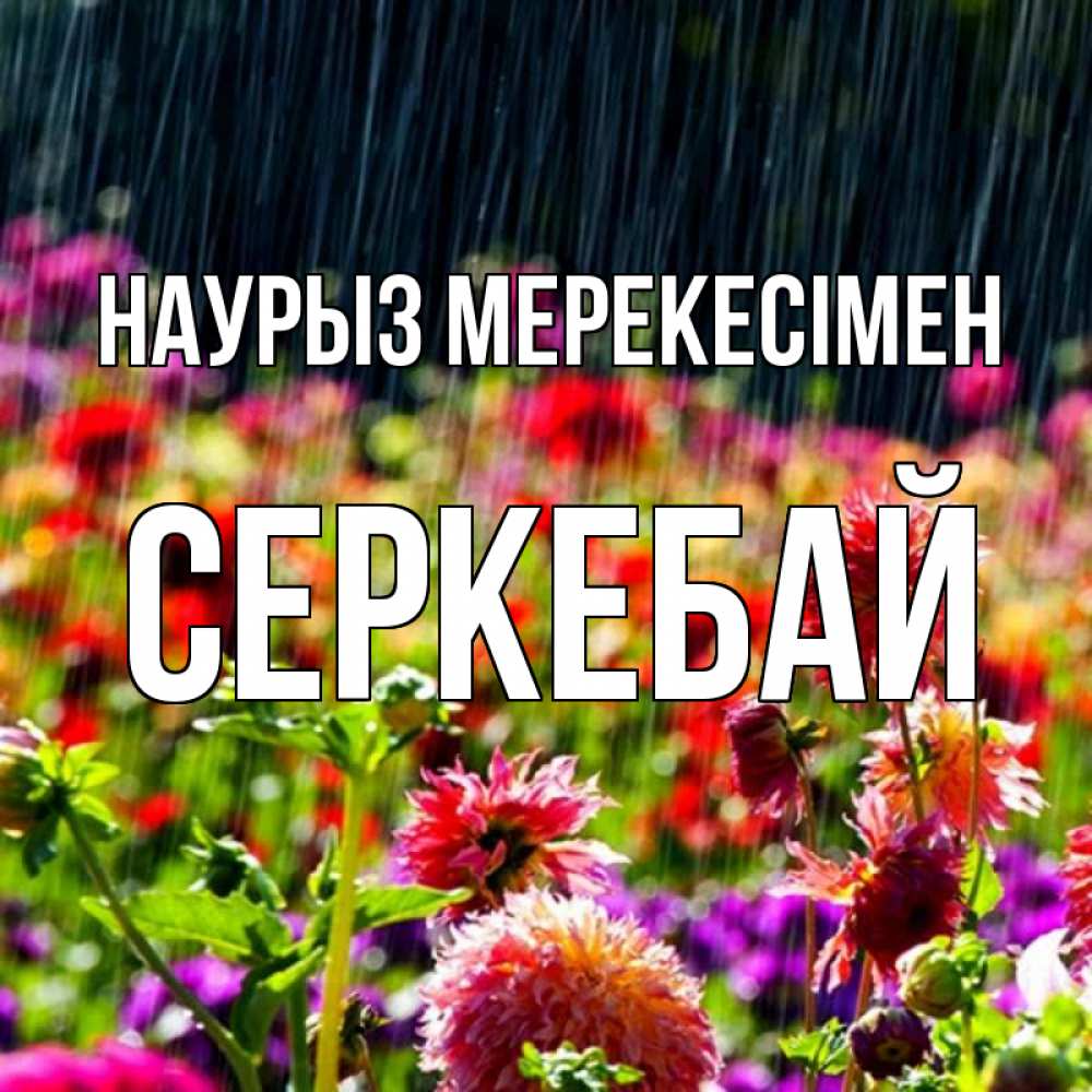 Күн сайын ашық хат с именем, СЕРКЕБАЙ Наурыз мерекесімен цветы под дождиком к международному женскому дню Онлайн тегін жүктеп алу тілектері бар керемет карта 
