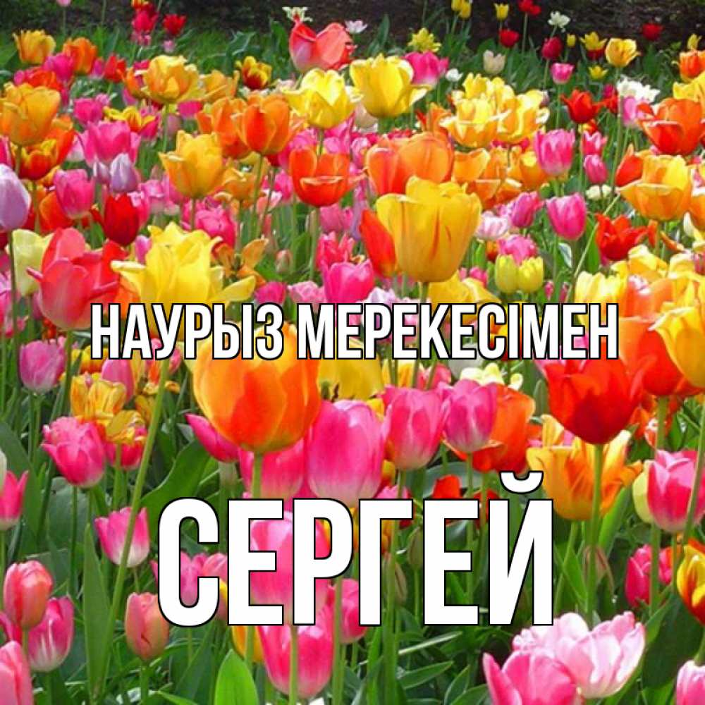 Күн сайын ашық хат с именем, Сергей Наурыз мерекесімен праздник весны наурыз 4 Онлайн тегін жүктеп алу тілектері бар керемет карта 