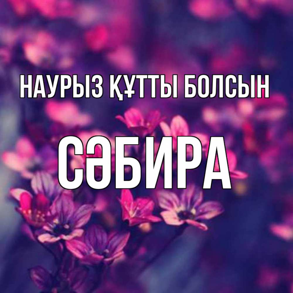 Күн сайын ашық хат с именем, СӘБИРА Наурыз құтты болсын небольшие цветы 1 Онлайн тегін жүктеп алу тілектері бар керемет карта 