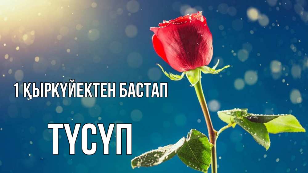 Күн сайын ашық хат с именем, ТҮСҮП 1 қыркүйектен бастап с днем знаний Онлайн тегін жүктеп алу тілектері бар керемет карта 