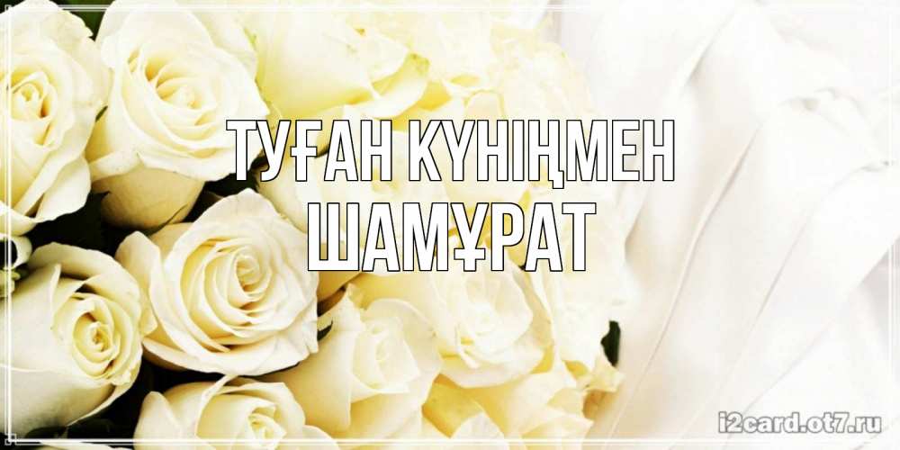 Күн сайын ашық хат с именем, ШАМҰРАТ Туған күніңмен белые розы в букете Онлайн тегін жүктеп алу тілектері бар керемет карта 