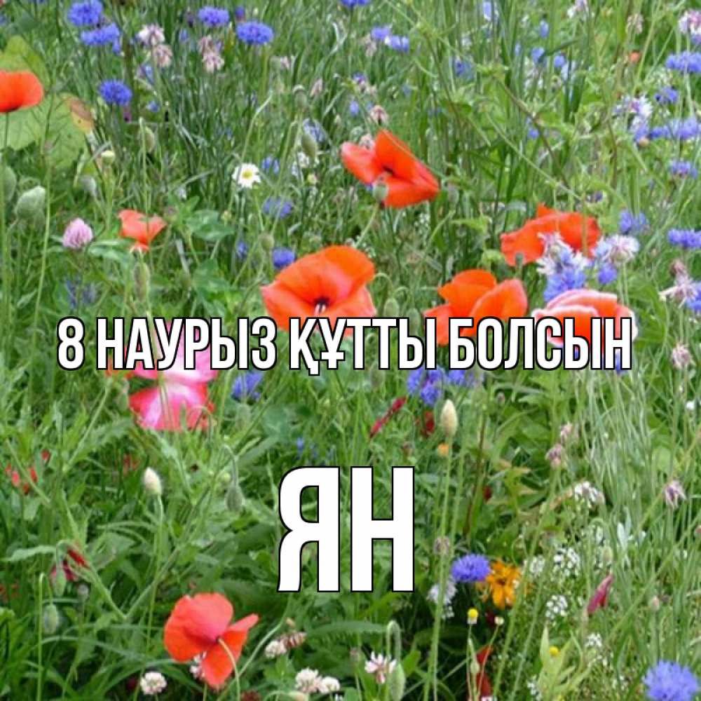 Күн сайын ашық хат с именем, Ян 8 наурыз құтты болсын международный женский день 4 Онлайн тегін жүктеп алу тілектері бар керемет карта 