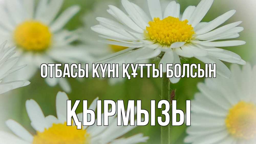 Күн сайын ашық хат с именем, ҚЫРМЫЗЫ отбасы күні құтты болсын с днем семьи  1 Онлайн тегін жүктеп алу тілектері бар керемет карта 