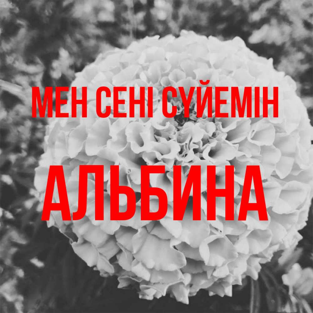 Күн сайын ашық хат с именем, Альбина Мен сені сүйемін подпись Онлайн тегін жүктеп алу тілектері бар керемет карта 