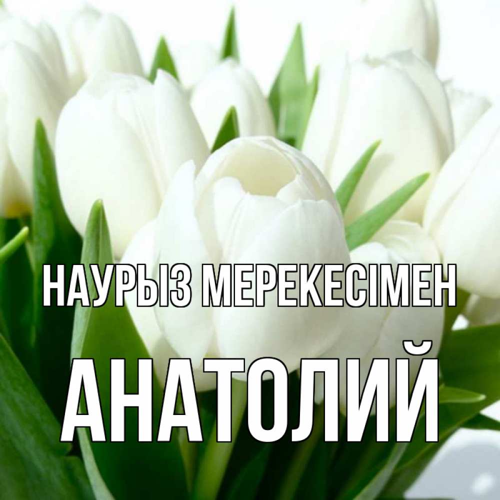 Күн сайын ашық хат с именем, Анатолий Наурыз мерекесімен цветы Онлайн тегін жүктеп алу тілектері бар керемет карта 