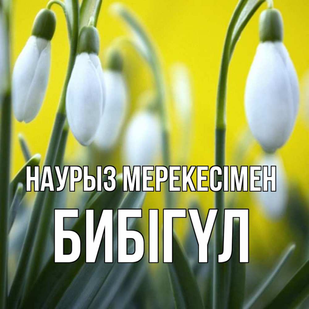 Күн сайын ашық хат с именем, БИБІГҮЛ Наурыз мерекесімен весенние цветы Онлайн тегін жүктеп алу тілектері бар керемет карта 