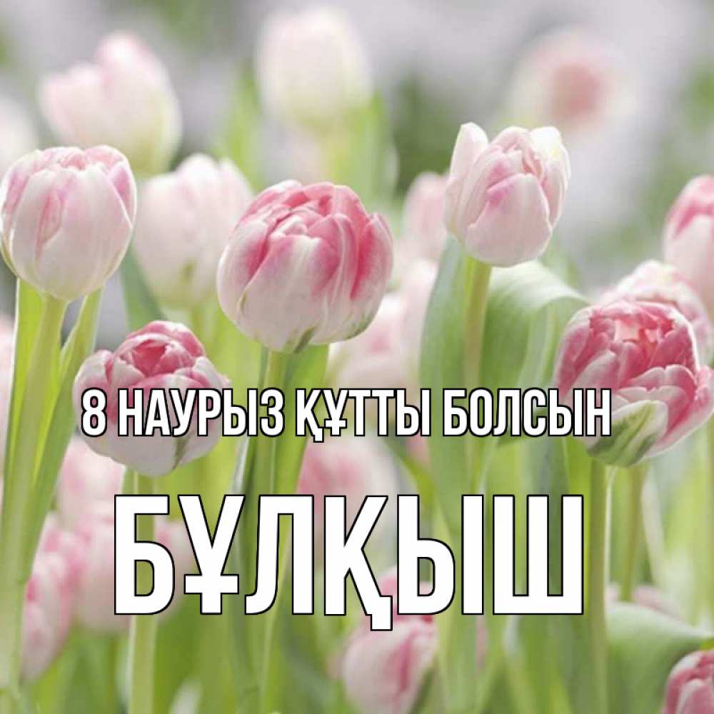 Күн сайын ашық хат с именем, Бұлқыш 8 наурыз құтты болсын цветы Онлайн тегін жүктеп алу тілектері бар керемет карта 