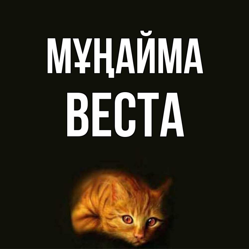 Күн сайын ашық хат с именем, Веста Мұңайма лежащий кот в темноте Онлайн тегін жүктеп алу тілектері бар керемет карта 