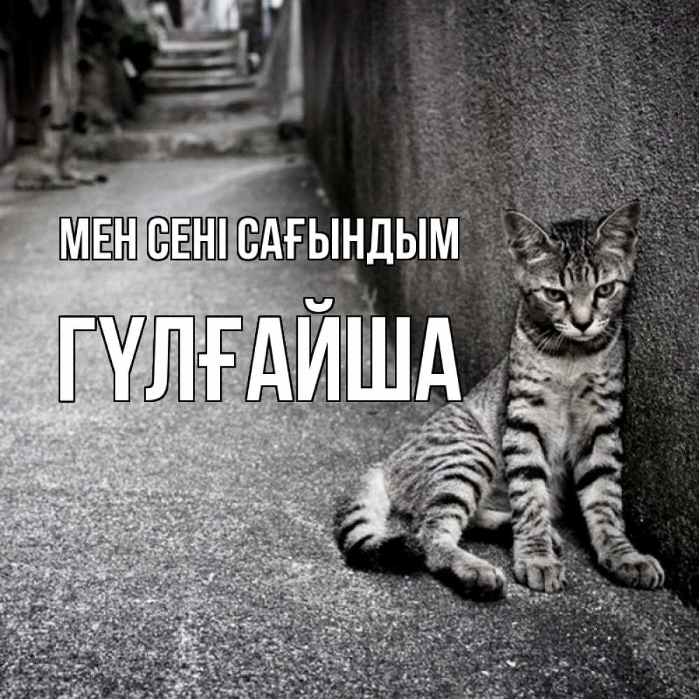 Күн сайын ашық хат с именем, ГҮЛҒАЙША Мен сені сағындым одиноко котику Онлайн тегін жүктеп алу тілектері бар керемет карта 
