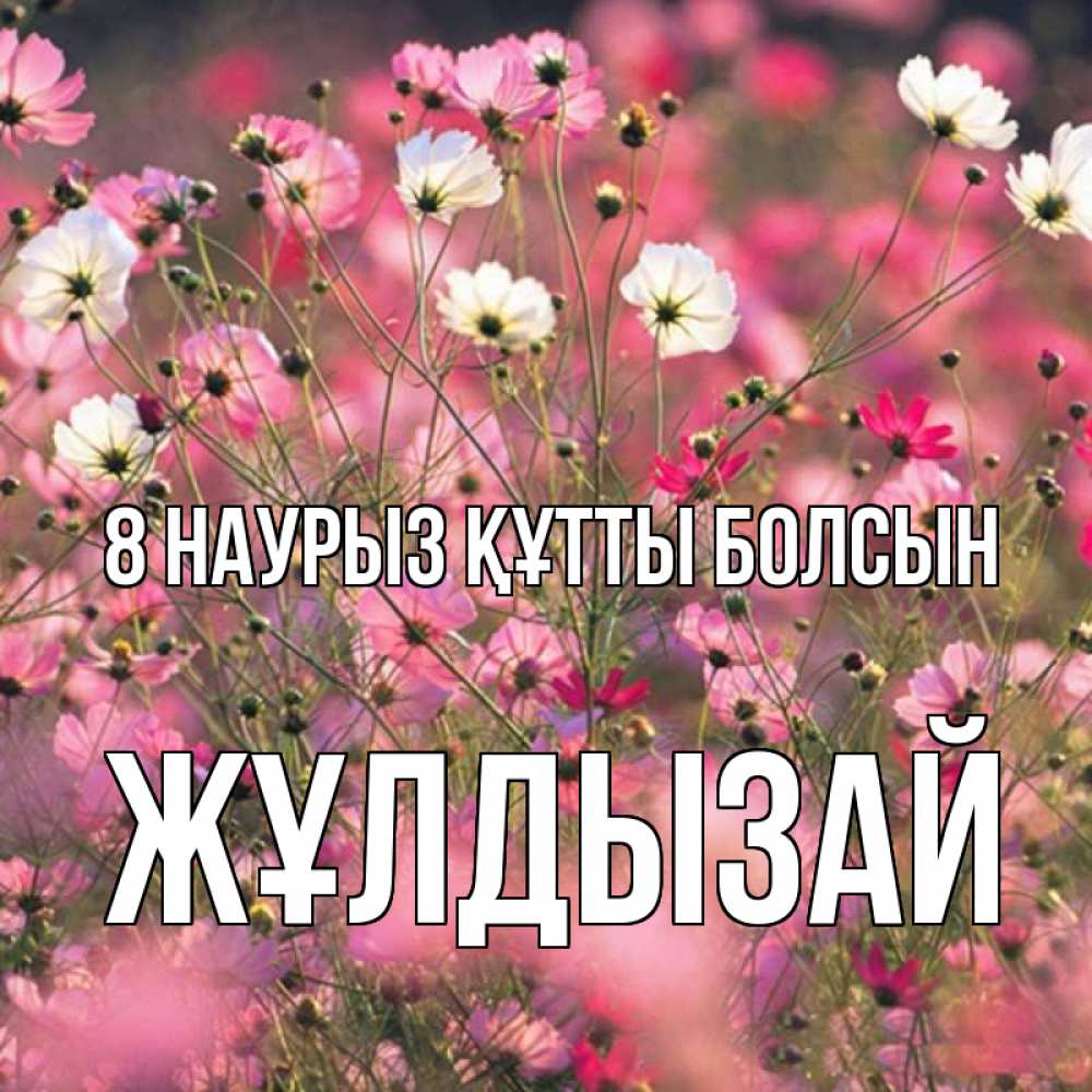 Күн сайын ашық хат с именем, ЖҰЛДЫЗАЙ 8 наурыз құтты болсын красиво 1 Онлайн тегін жүктеп алу тілектері бар керемет карта 