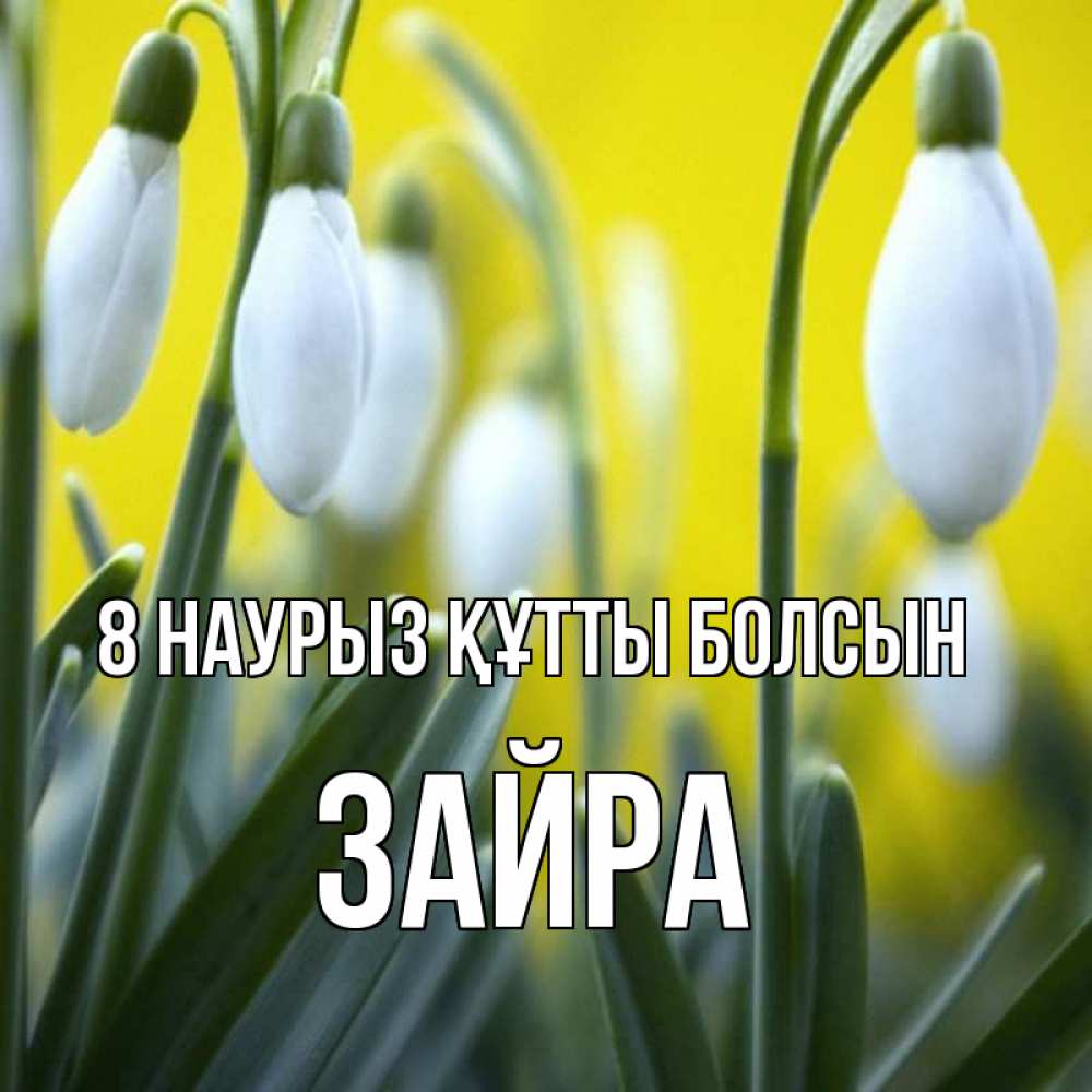Күн сайын ашық хат с именем, ЗАЙРА 8 наурыз құтты болсын весенние цветы Онлайн тегін жүктеп алу тілектері бар керемет карта 