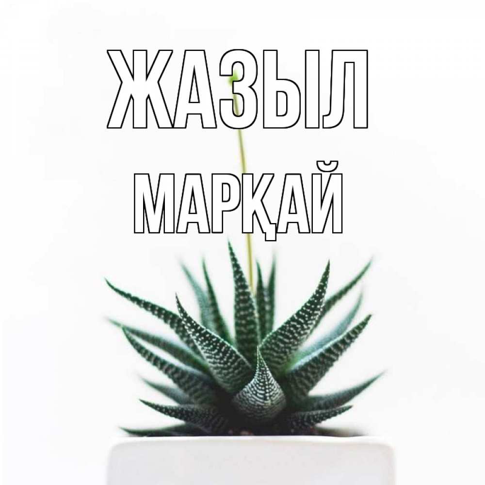Күн сайын ашық хат с именем, МАРҚАЙ Жазыл короче это непонятная колючка Онлайн тегін жүктеп алу тілектері бар керемет карта 