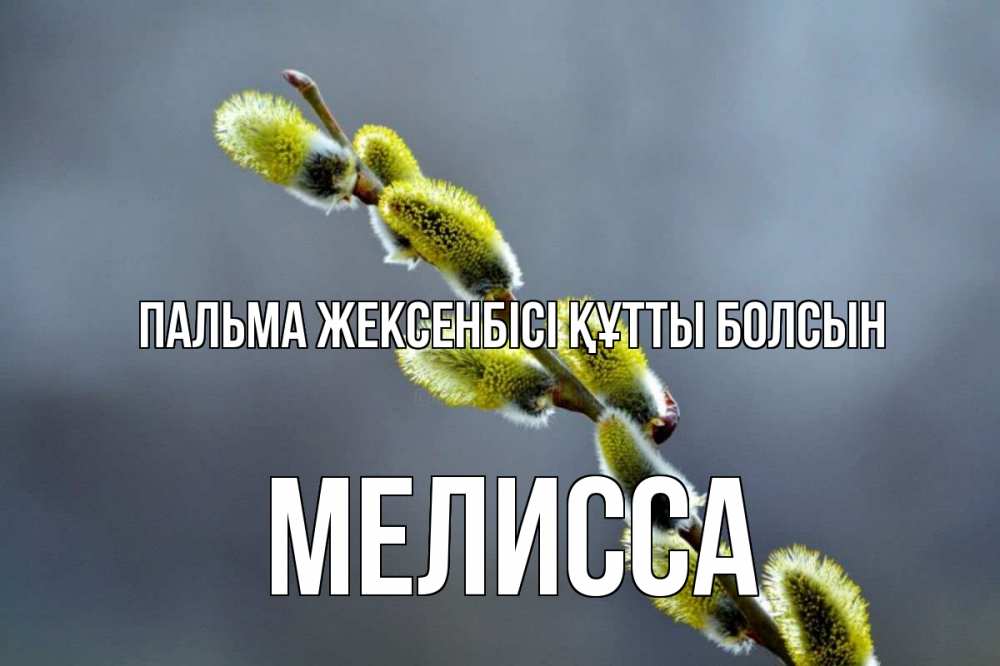 Күн сайын ашық хат с именем, Мелисса Пальма жексенбісі құтты болсын верба Онлайн тегін жүктеп алу тілектері бар керемет карта 