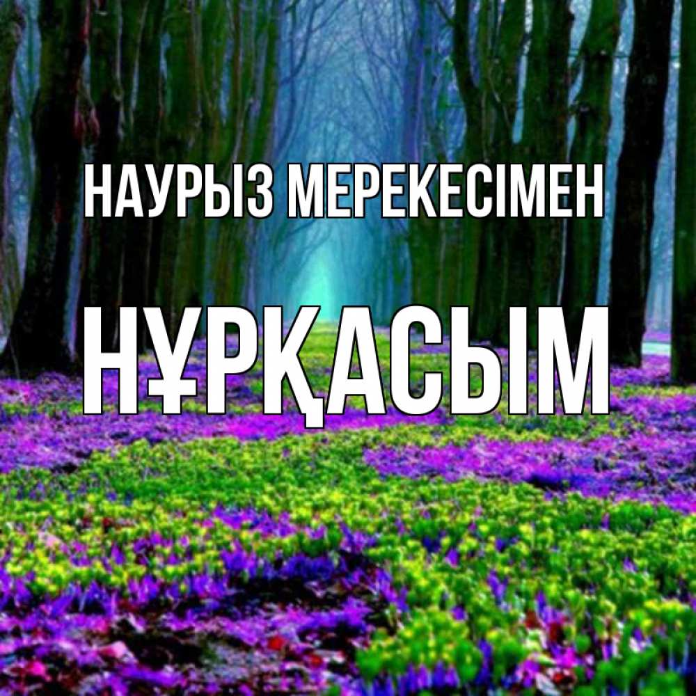 Күн сайын ашық хат с именем, НҰРҚАСЫМ Наурыз мерекесімен фиолетовые цветы в лесу 1 Онлайн тегін жүктеп алу тілектері бар керемет карта 