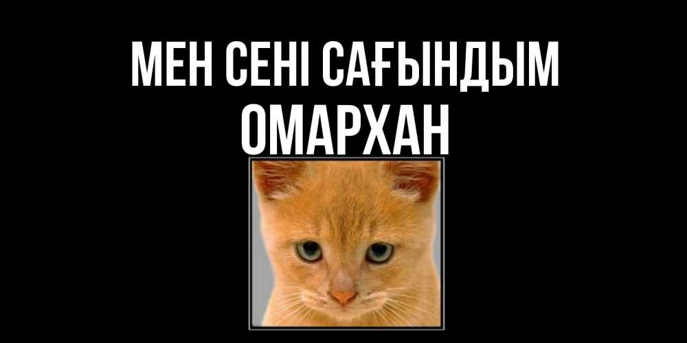 Күн сайын ашық хат с именем, ОМАРХАН Мен сені сағындым открытки рыжий котенок скучает по тебе Онлайн тегін жүктеп алу тілектері бар керемет карта 