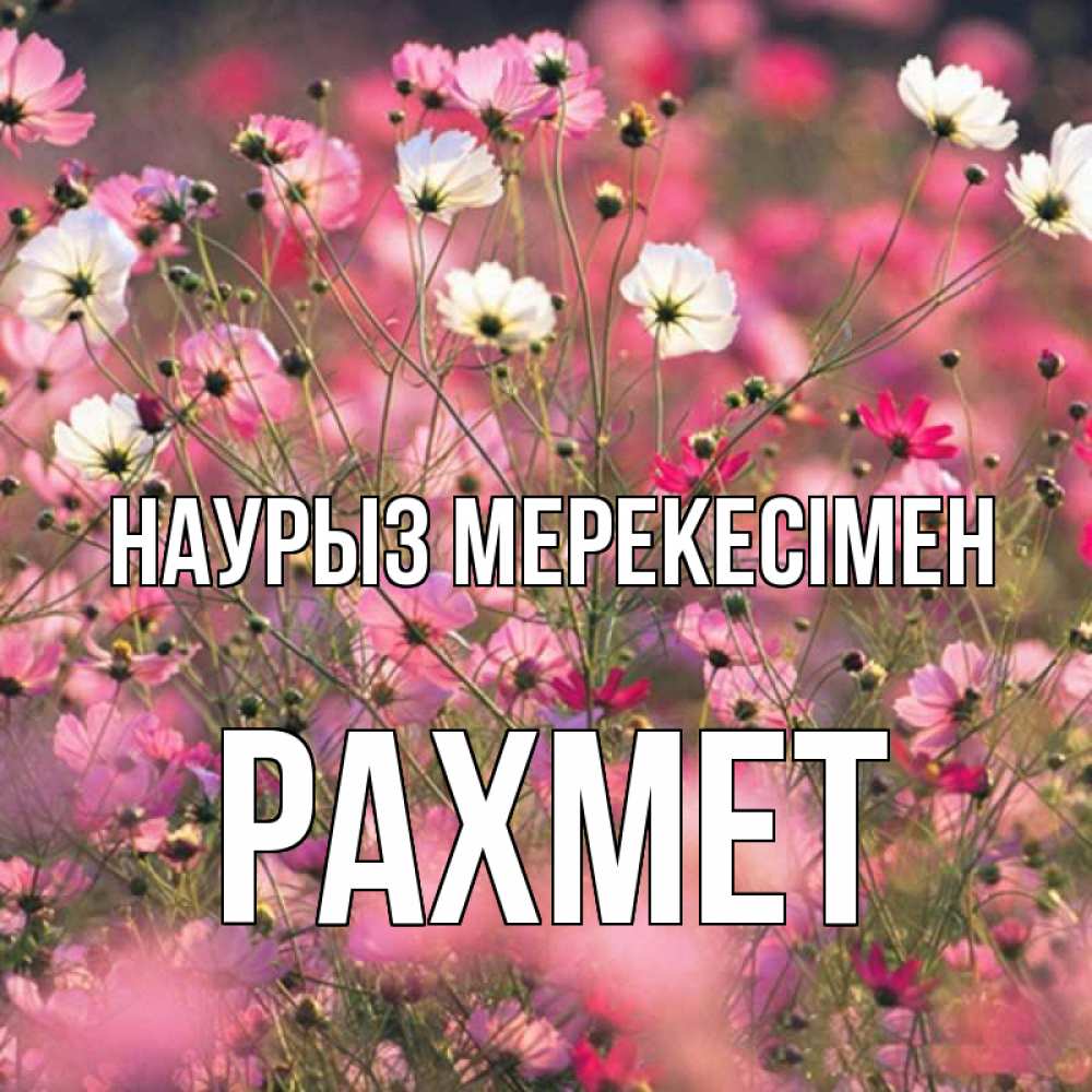 Күн сайын ашық хат с именем, РАХМЕТ Наурыз мерекесімен красиво 1 Онлайн тегін жүктеп алу тілектері бар керемет карта 