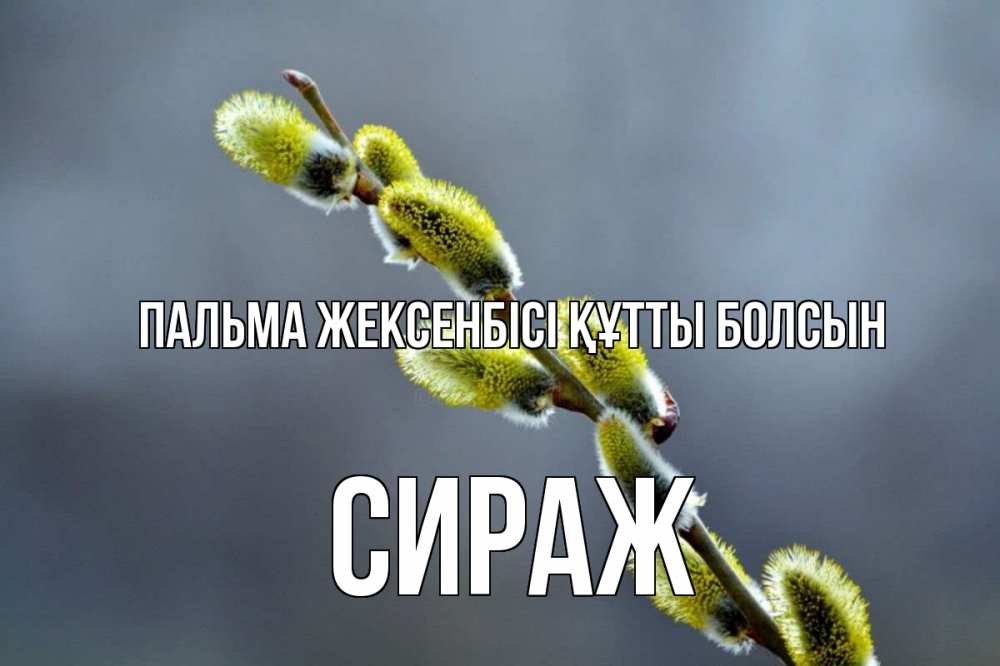 Күн сайын ашық хат с именем, СИРАЖ Пальма жексенбісі құтты болсын верба Онлайн тегін жүктеп алу тілектері бар керемет карта 